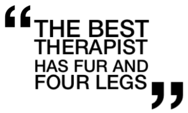 Dog Therapy