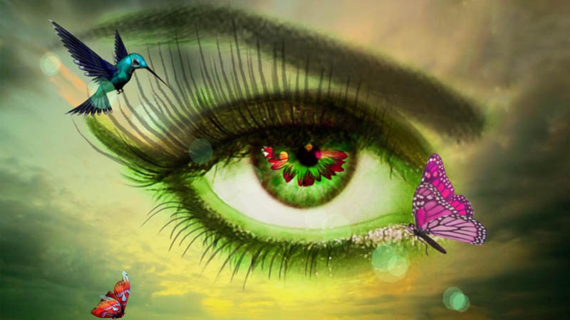 Image close up of an eye with colours and butterflies